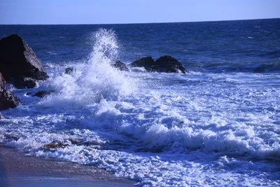 DSC_0566 (Large).JPG